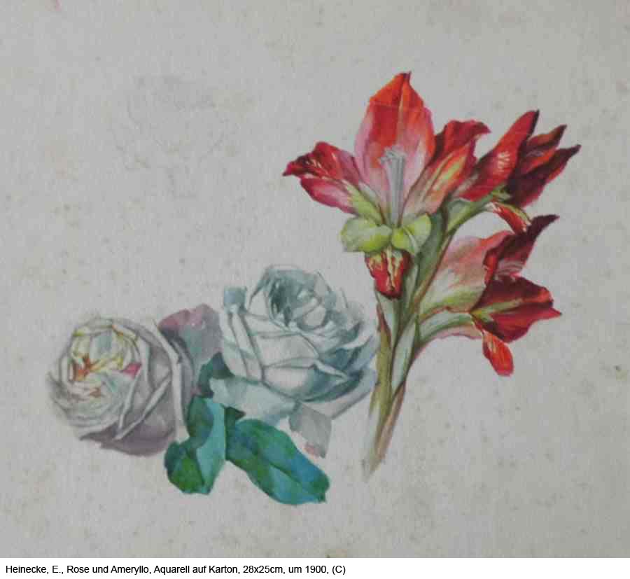 Heinecke-E.-Rose-und-Ameryllos-Aquarell-auf-Karton-28x25cm-um-1900-1